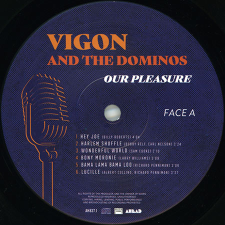 vigon and the dominos lp our pleasure label 1